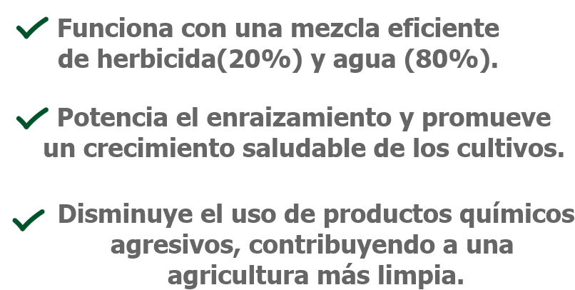 Grupo 27-1 Grupo 27-1