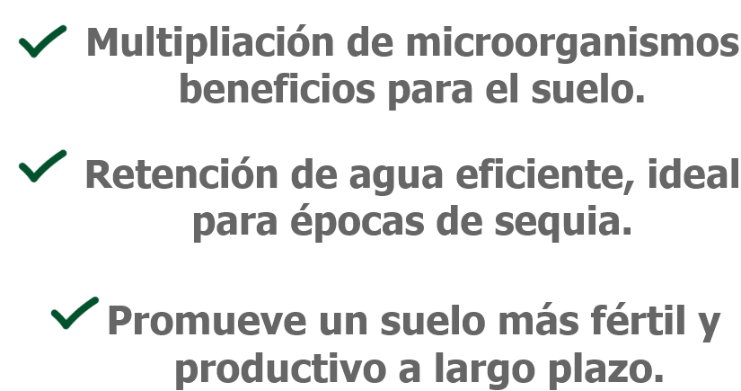 Grupo 27 Grupo 27