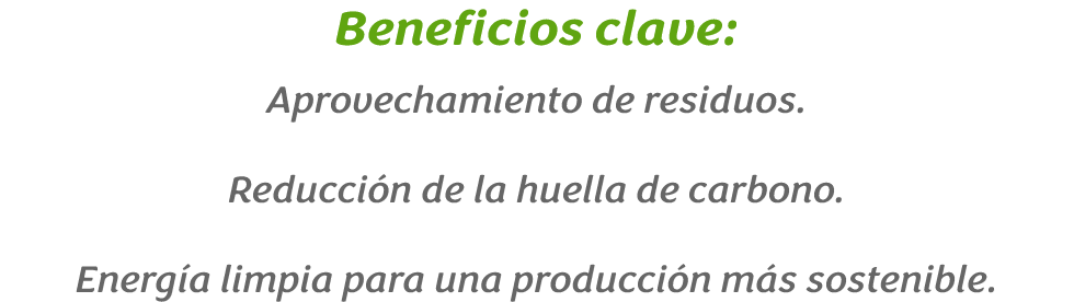 Grupo 53 Grupo 53